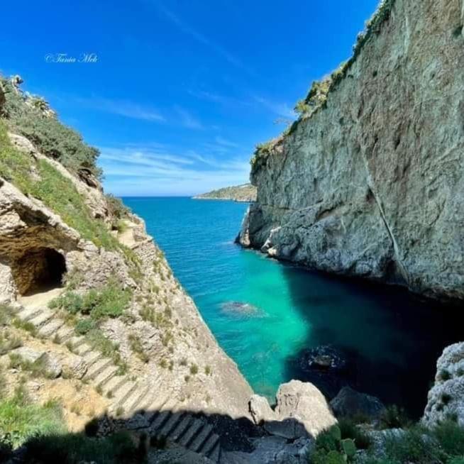 Sea Life Terrasini Otel Dış mekan fotoğraf